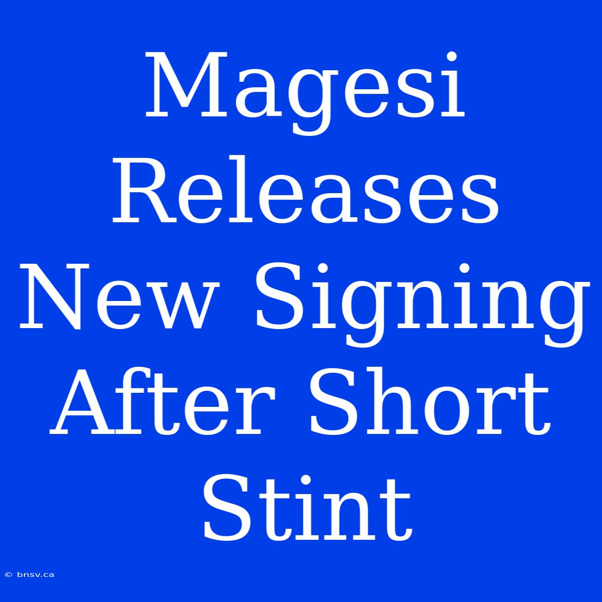 Magesi Releases New Signing After Short Stint