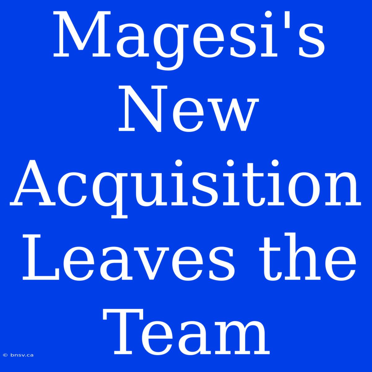 Magesi's New Acquisition Leaves The Team