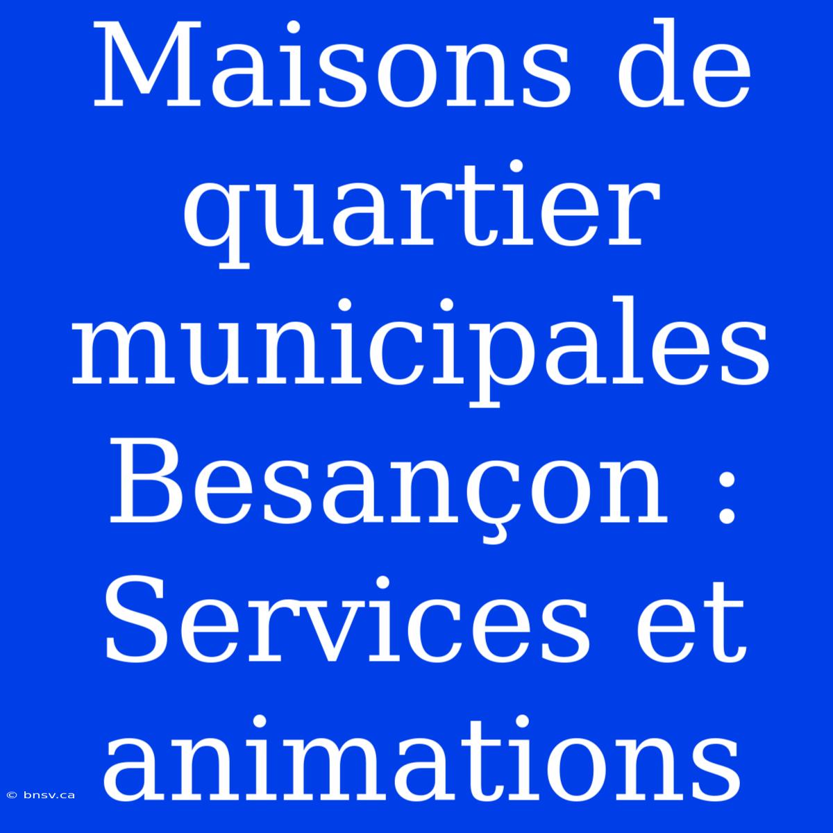 Maisons De Quartier Municipales Besançon : Services Et Animations