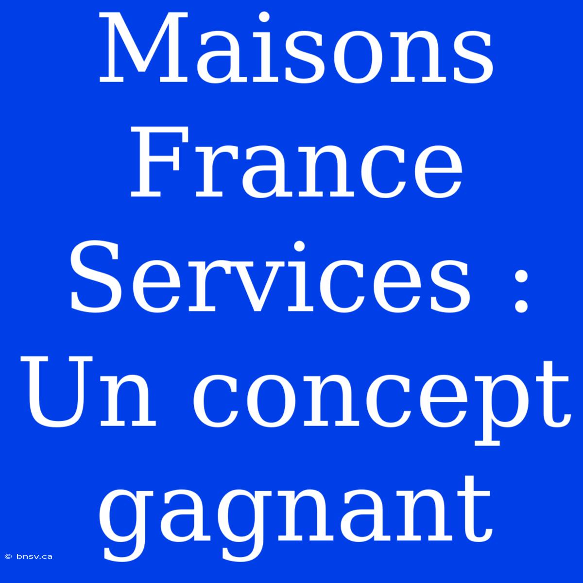 Maisons France Services : Un Concept Gagnant