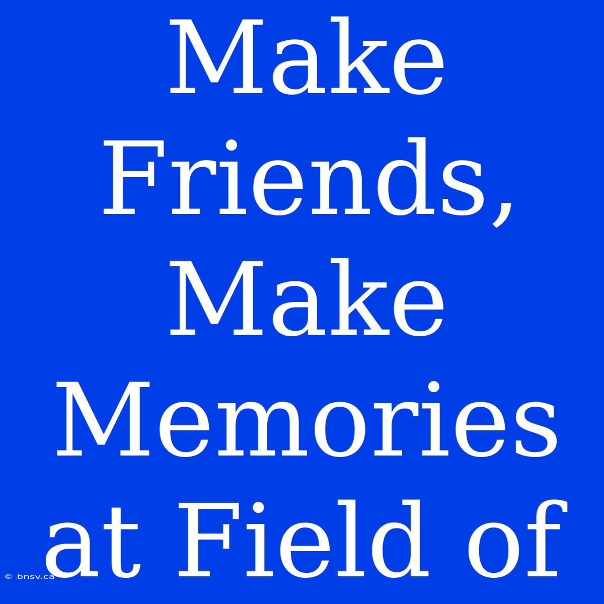 Make Friends, Make Memories At Field Of