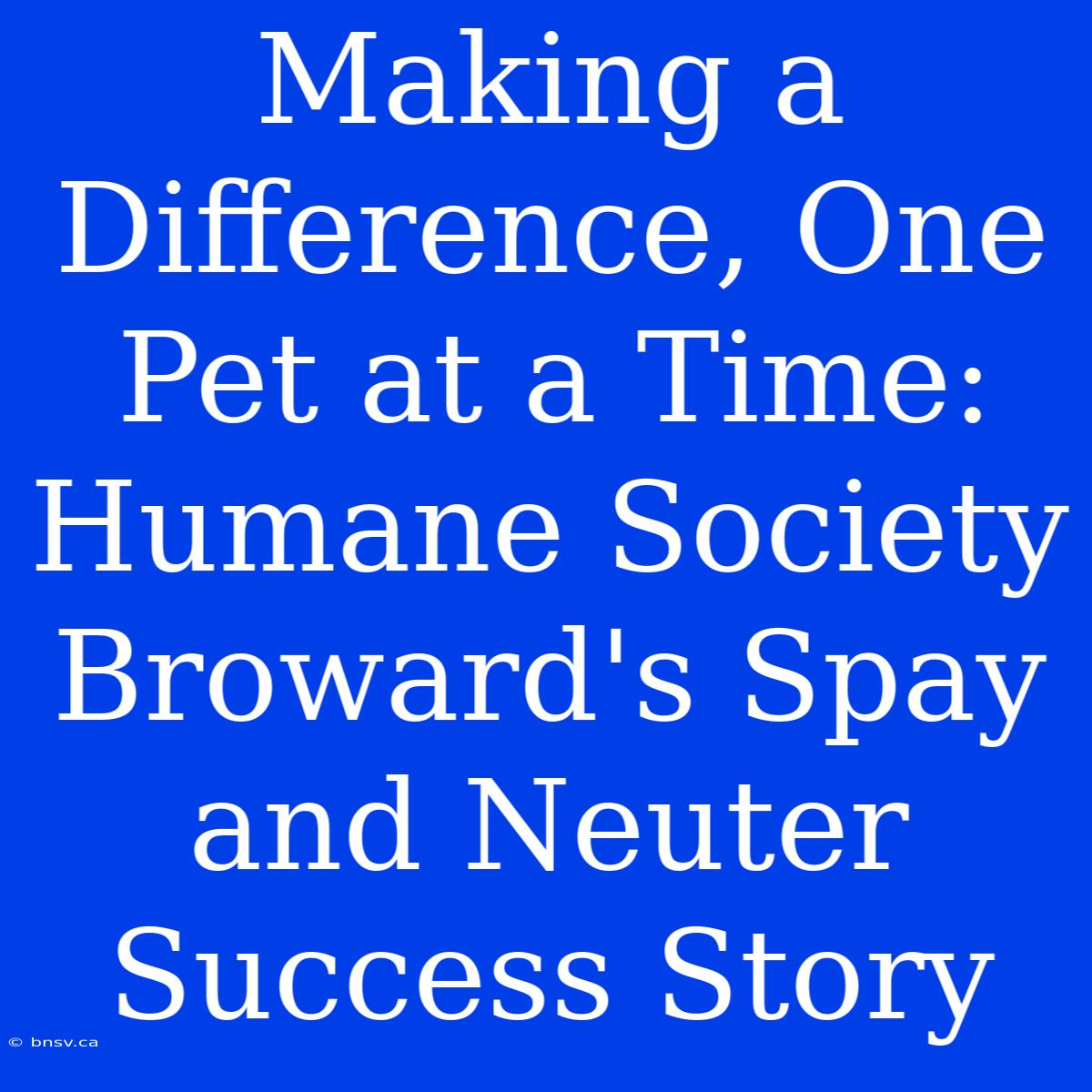 Making A Difference, One Pet At A Time: Humane Society Broward's Spay And Neuter Success Story