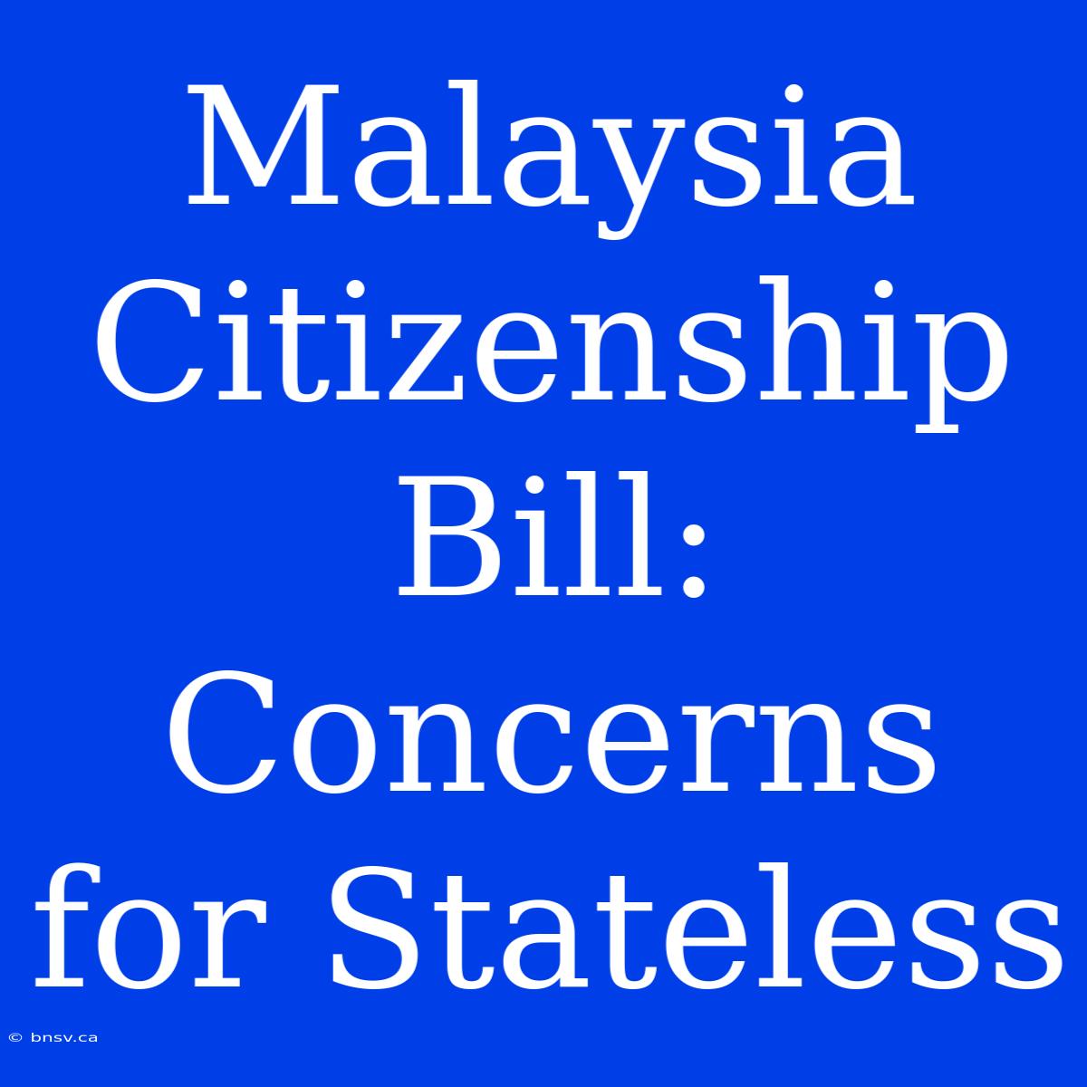 Malaysia Citizenship Bill: Concerns For Stateless