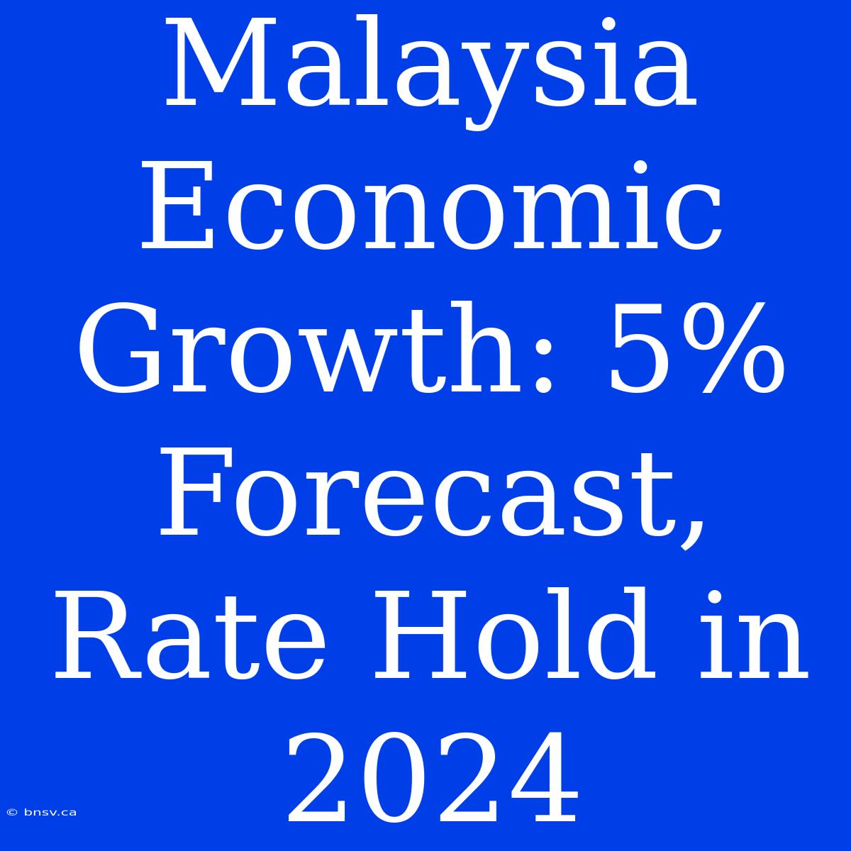 Malaysia Economic Growth: 5% Forecast, Rate Hold In 2024