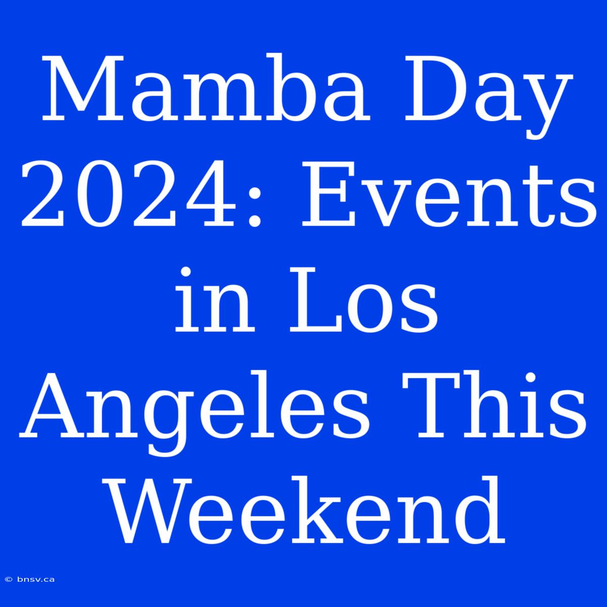 Mamba Day 2024: Events In Los Angeles This Weekend