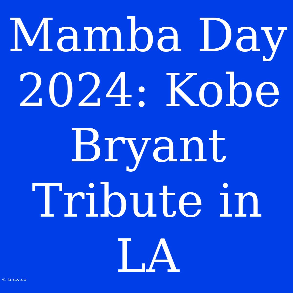 Mamba Day 2024: Kobe Bryant Tribute In LA