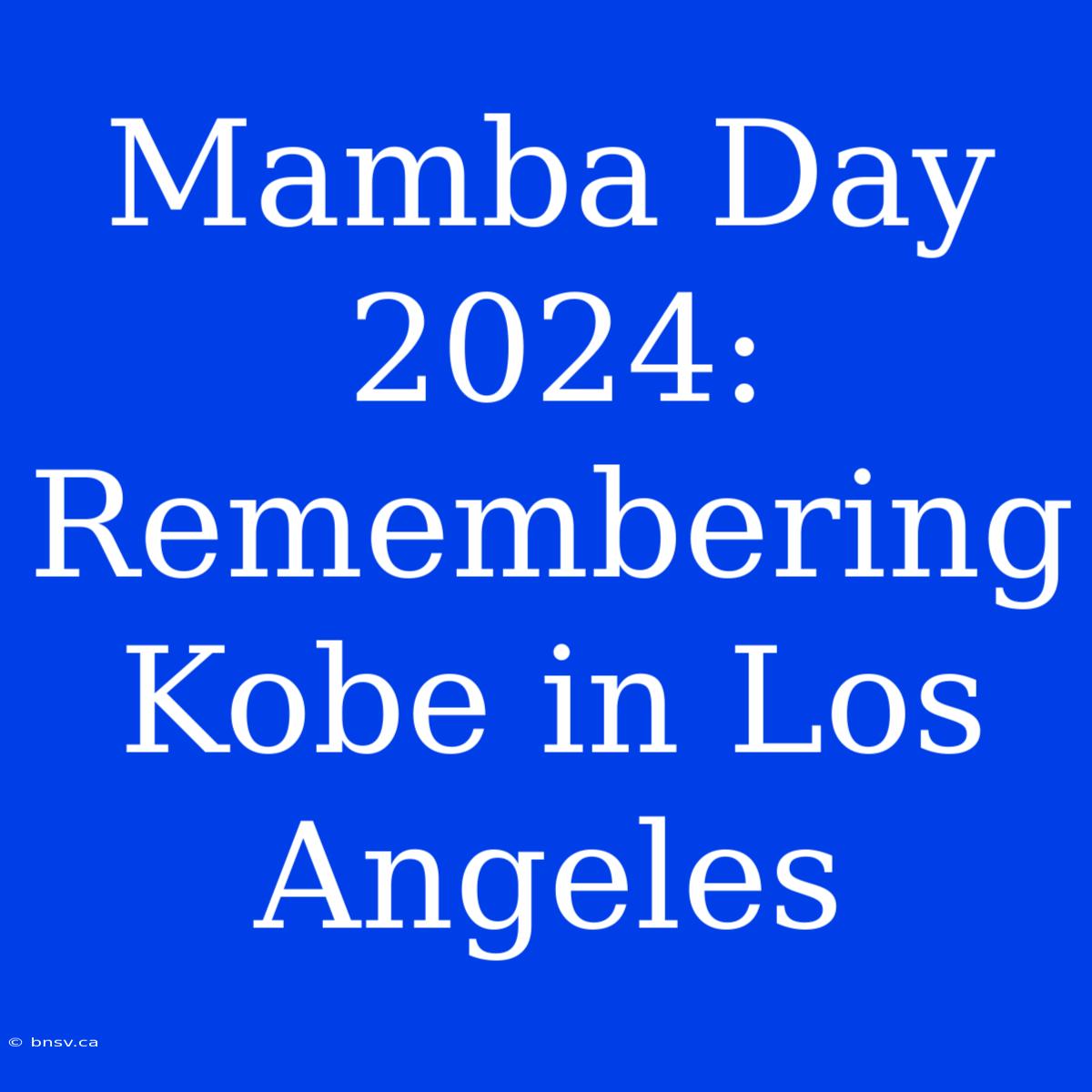 Mamba Day 2024: Remembering Kobe In Los Angeles