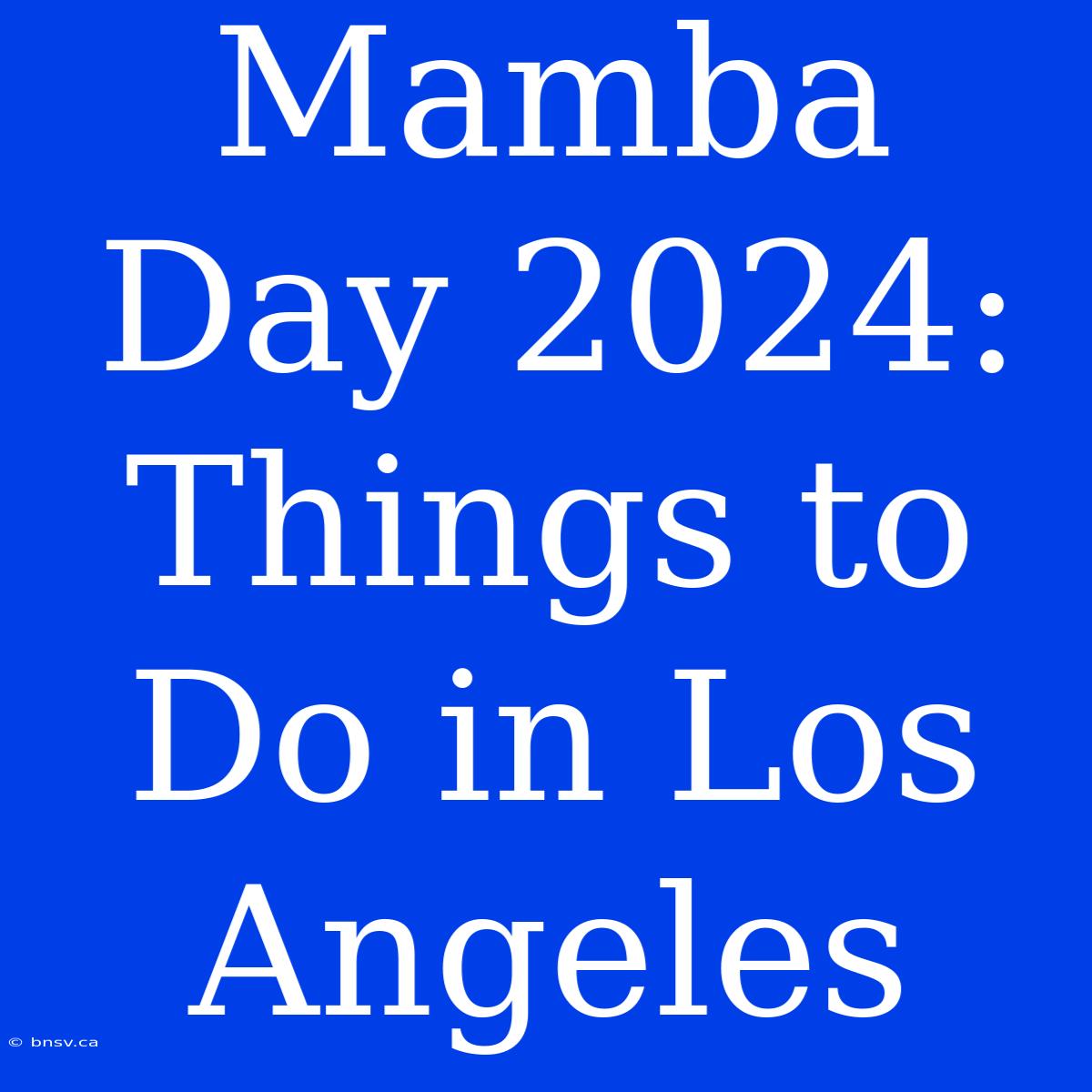 Mamba Day 2024: Things To Do In Los Angeles