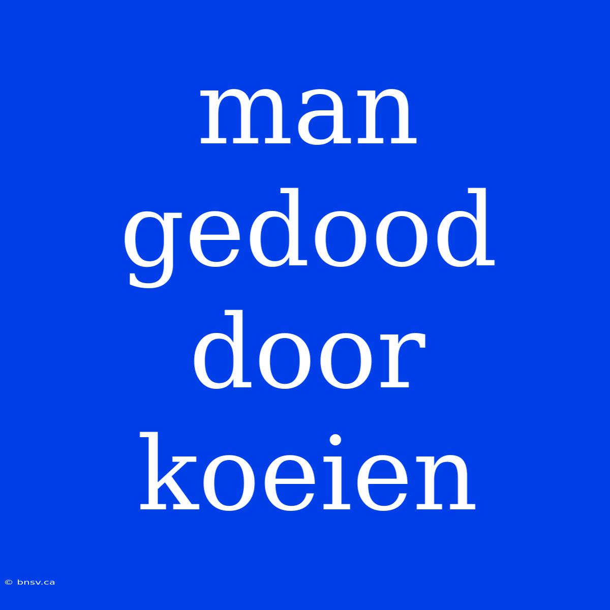 Man Gedood Door Koeien