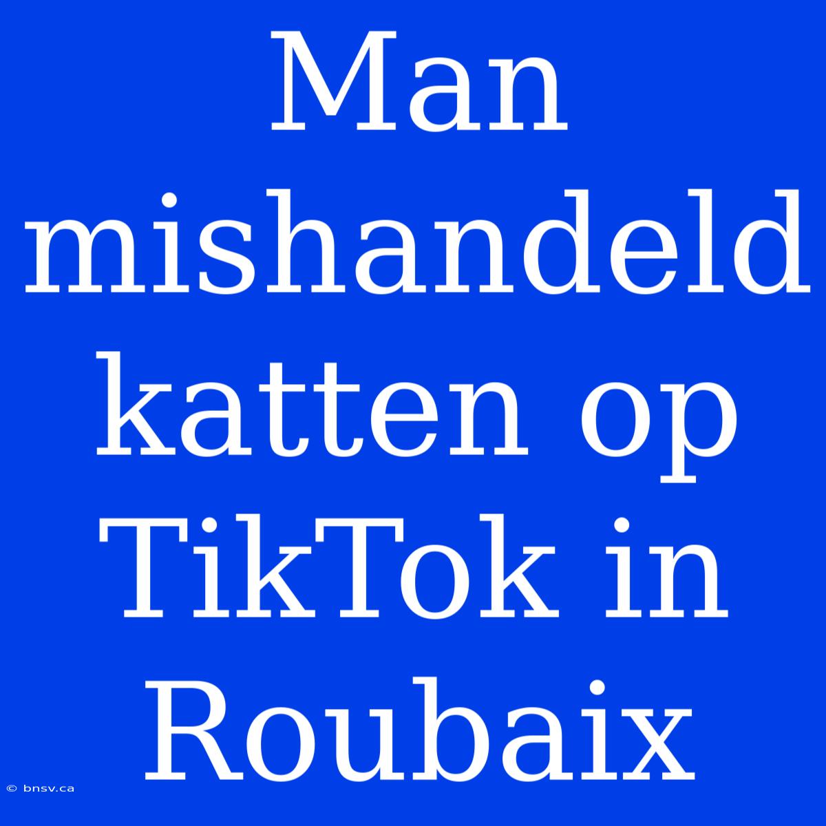 Man Mishandeld Katten Op TikTok In Roubaix