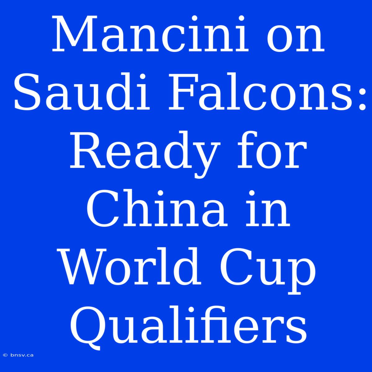 Mancini On Saudi Falcons: Ready For China In World Cup Qualifiers