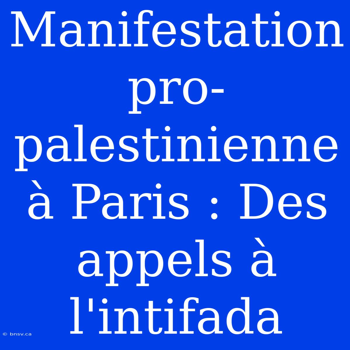 Manifestation Pro-palestinienne À Paris : Des Appels À L'intifada