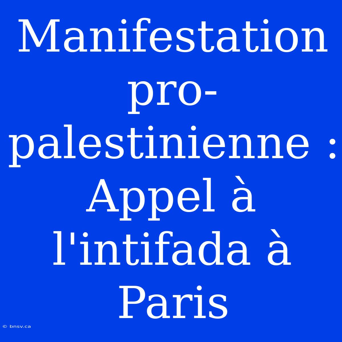 Manifestation Pro-palestinienne : Appel À L'intifada À Paris