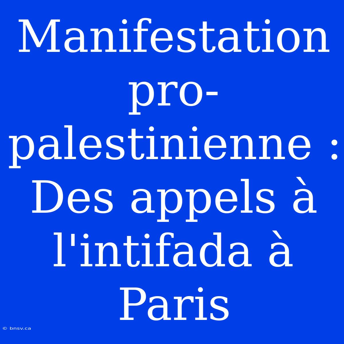 Manifestation Pro-palestinienne : Des Appels À L'intifada À Paris