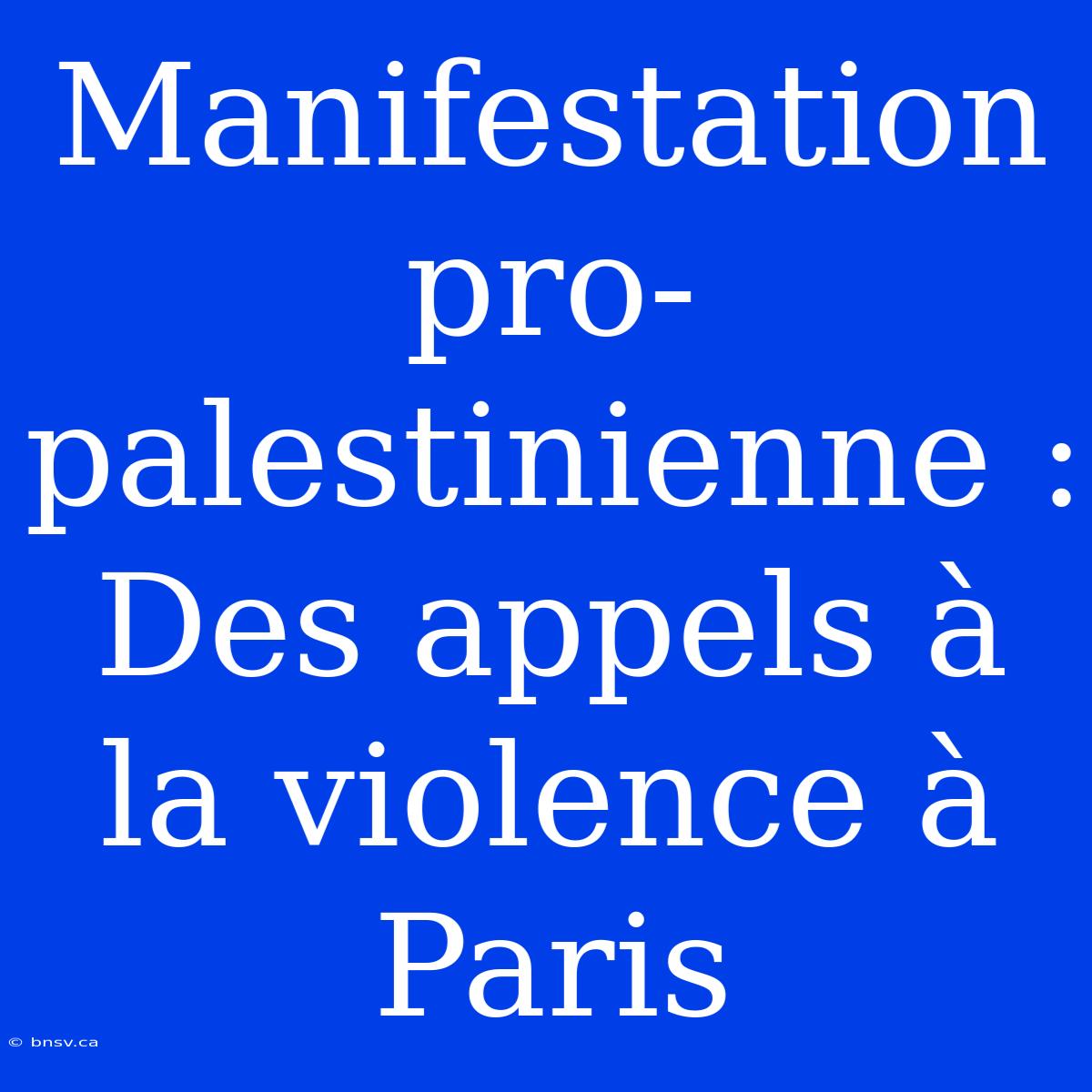 Manifestation Pro-palestinienne : Des Appels À La Violence À Paris