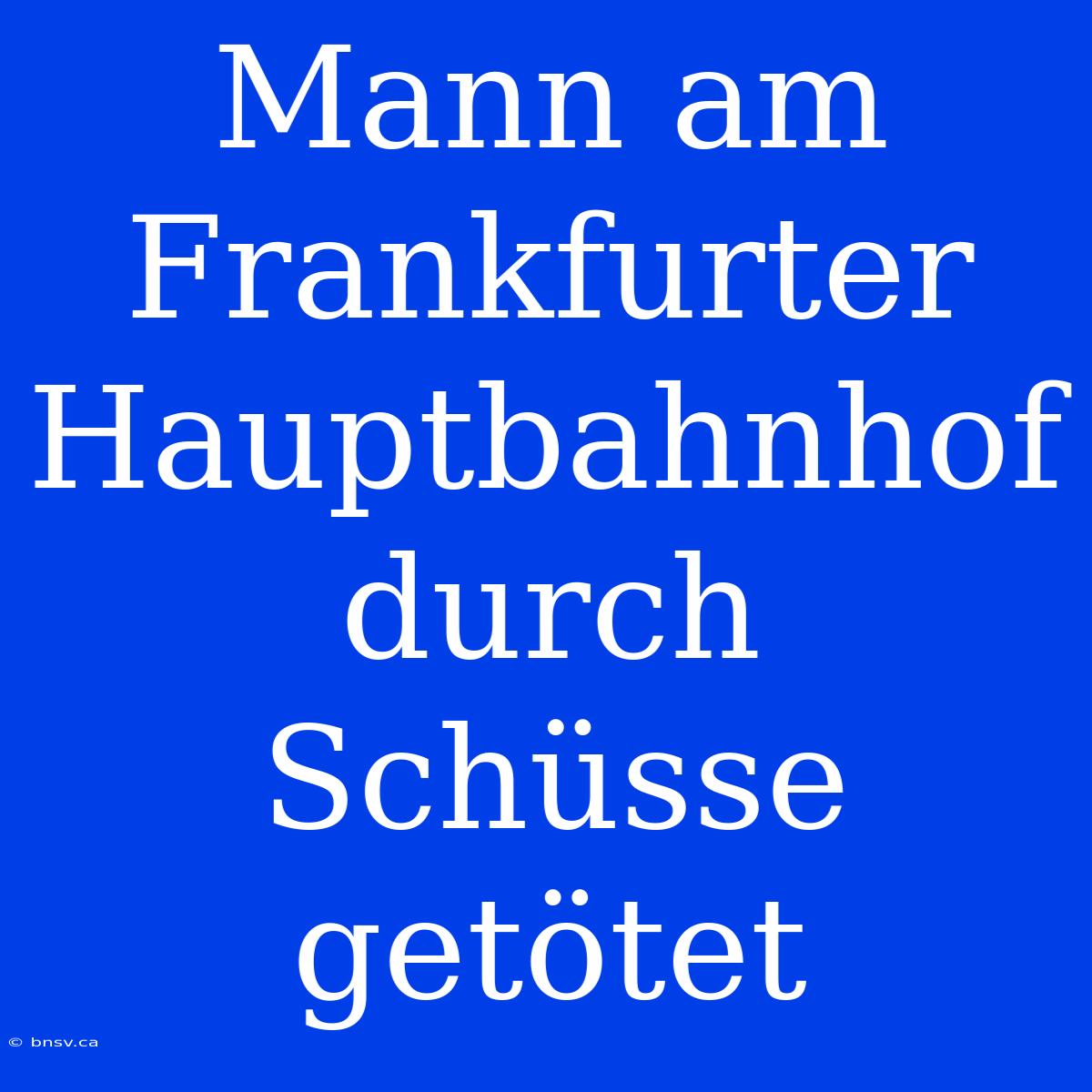 Mann Am Frankfurter Hauptbahnhof Durch Schüsse Getötet