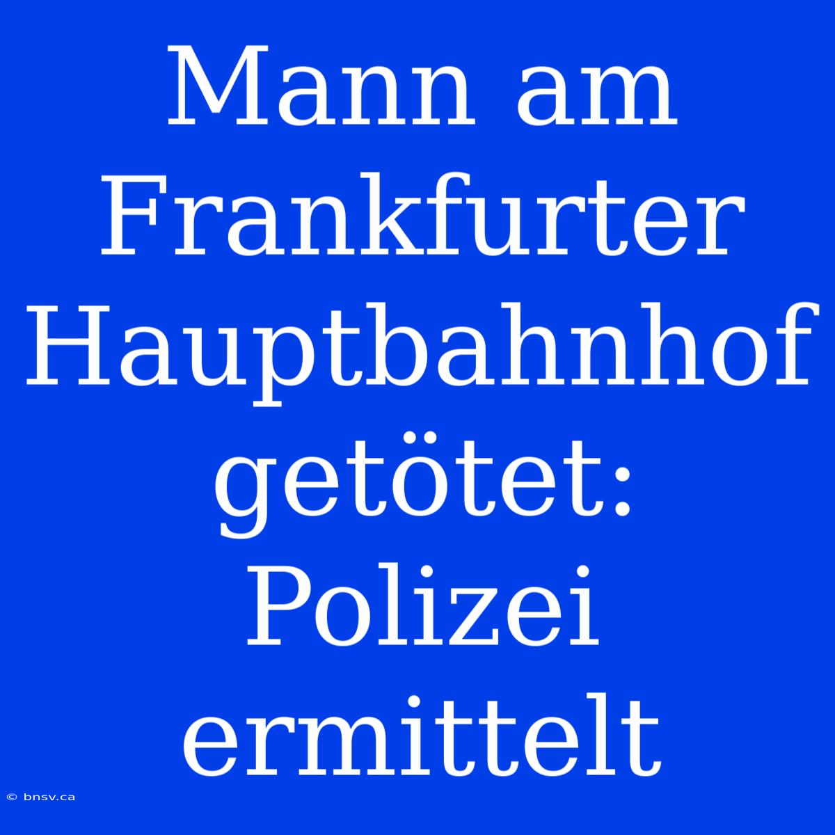 Mann Am Frankfurter Hauptbahnhof Getötet: Polizei Ermittelt