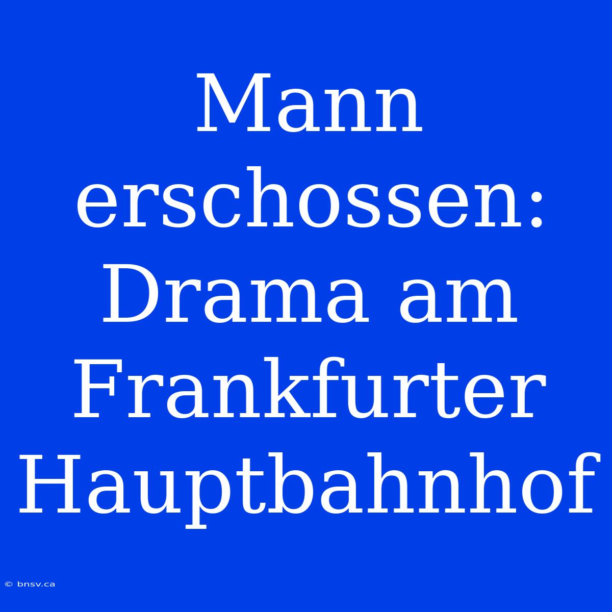 Mann Erschossen: Drama Am Frankfurter Hauptbahnhof