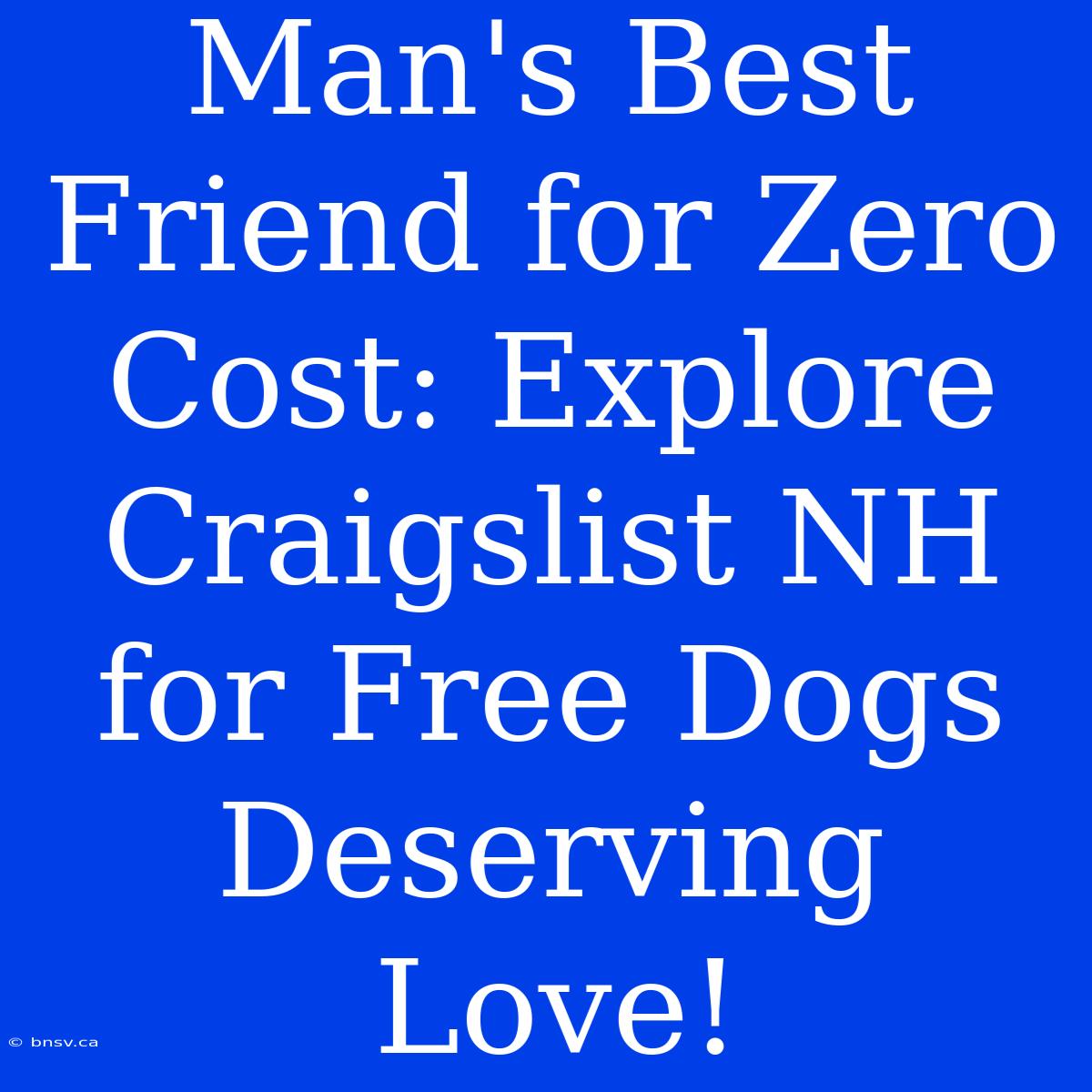 Man's Best Friend For Zero Cost: Explore Craigslist NH For Free Dogs Deserving Love!