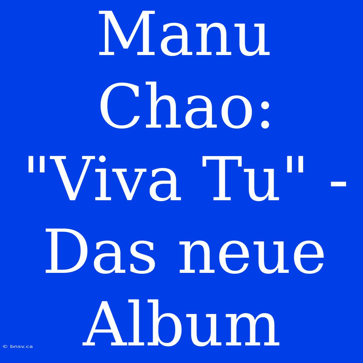 Manu Chao: 