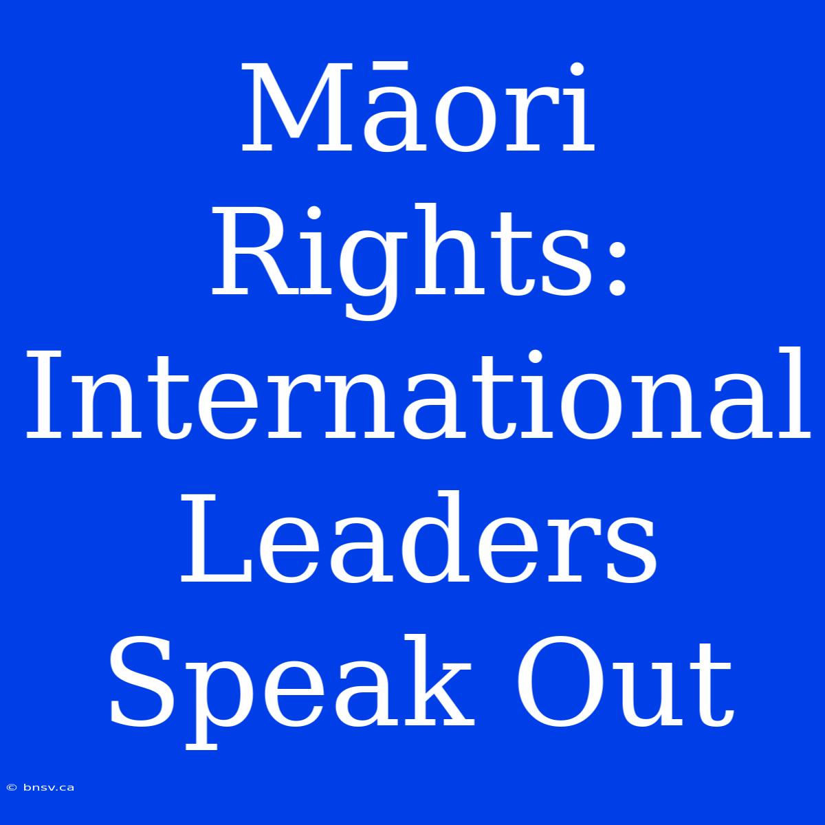 Māori Rights: International Leaders Speak Out