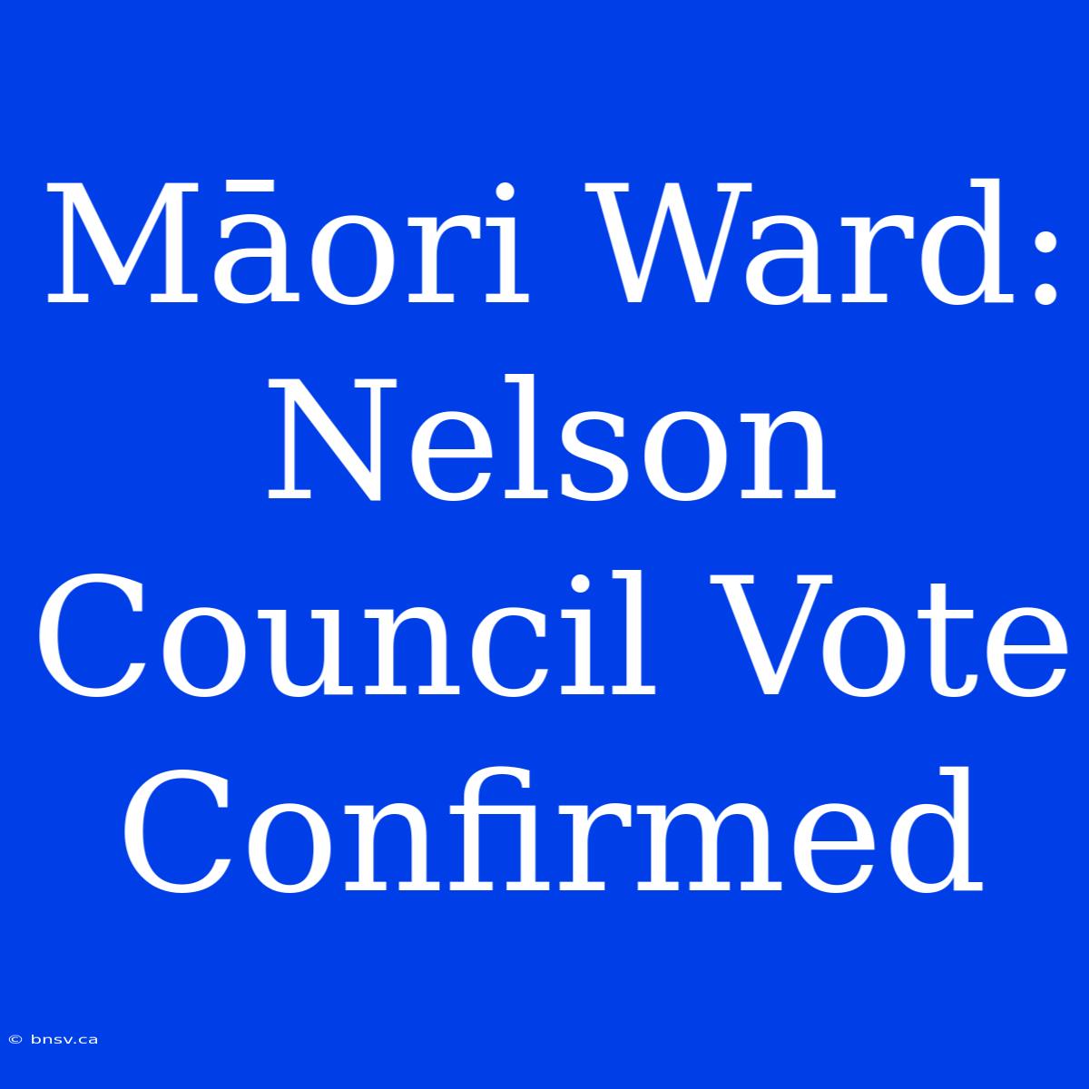 Māori Ward: Nelson Council Vote Confirmed