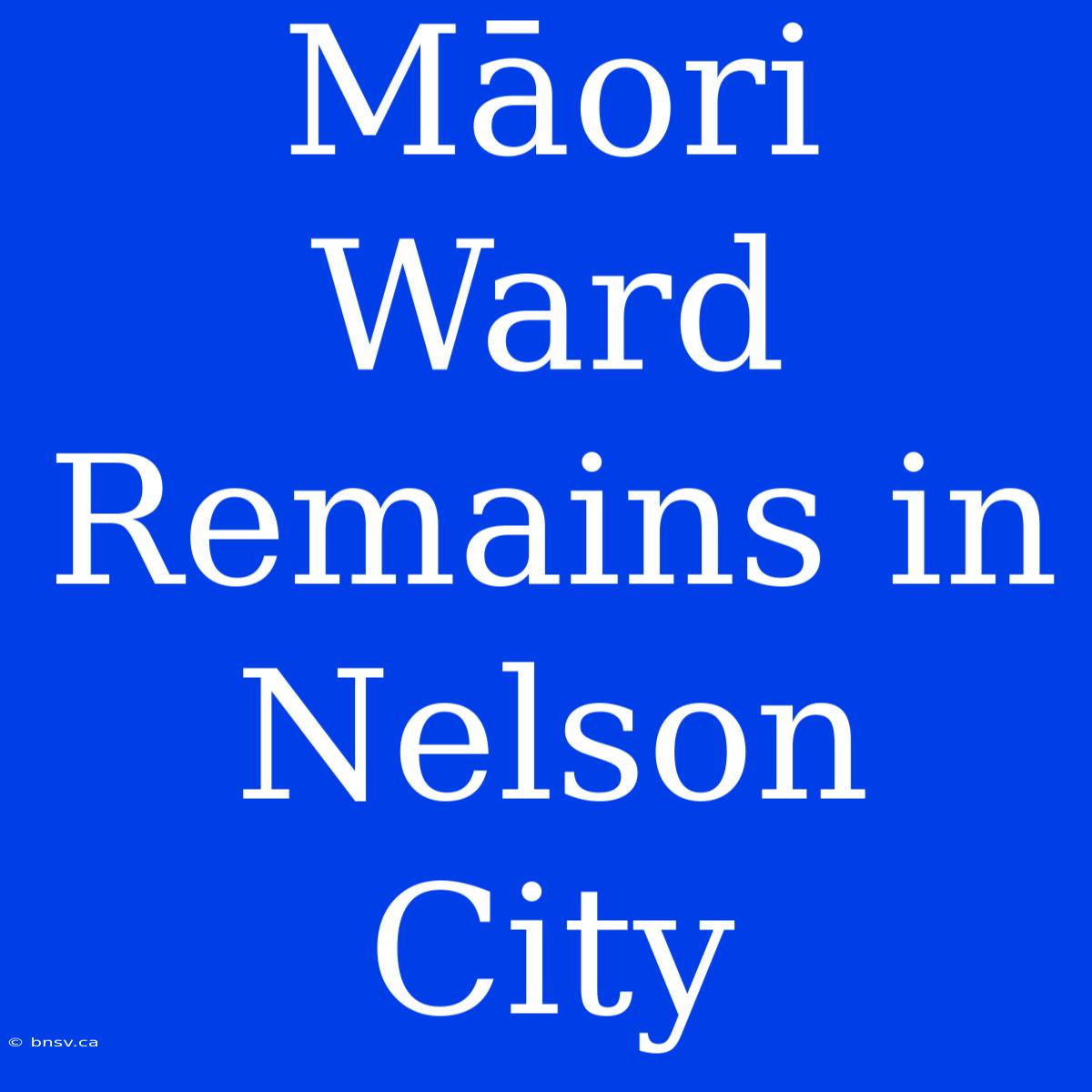 Māori Ward Remains In Nelson City