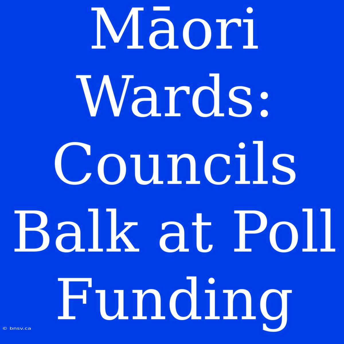 Māori Wards: Councils Balk At Poll Funding