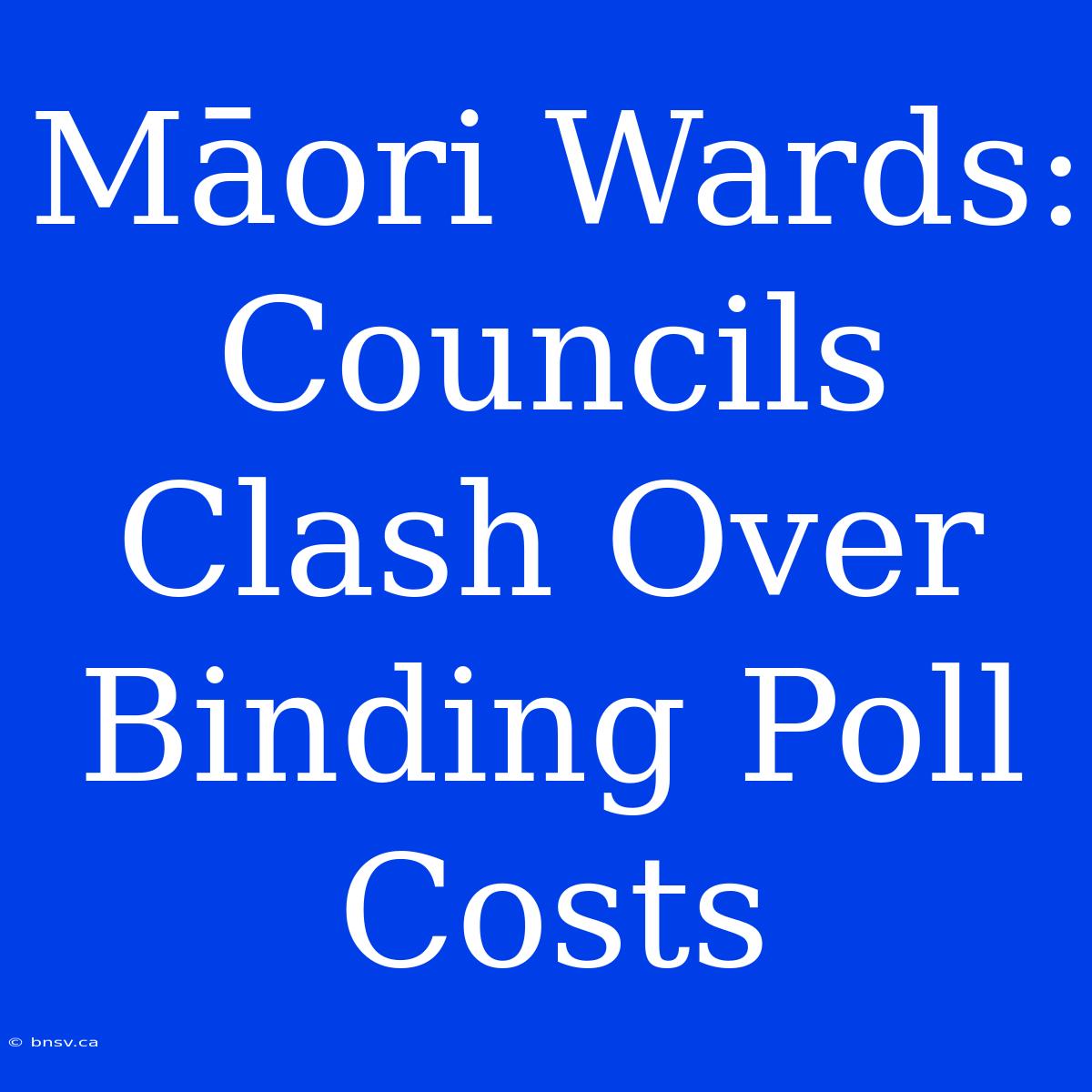 Māori Wards: Councils Clash Over Binding Poll Costs