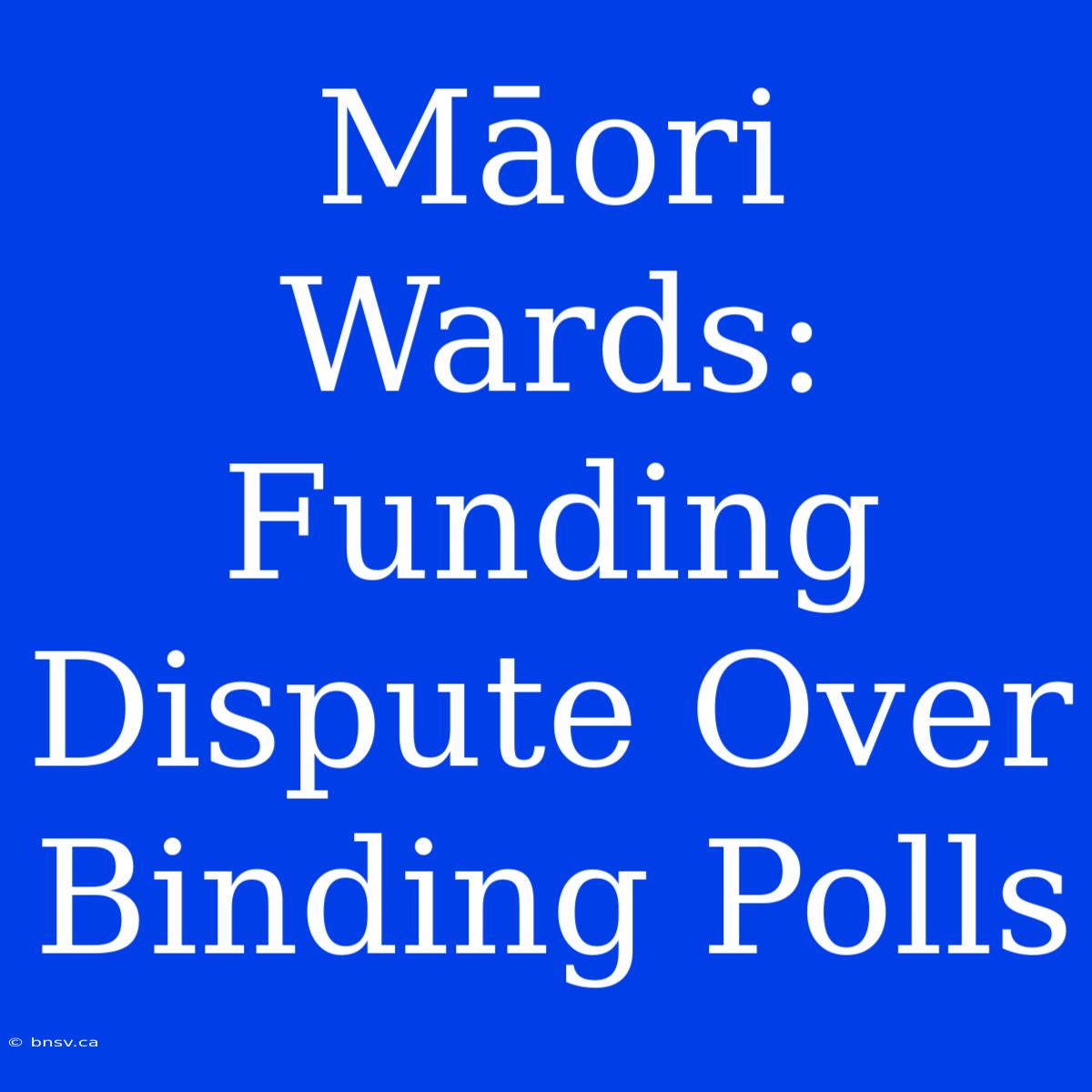 Māori Wards: Funding Dispute Over Binding Polls