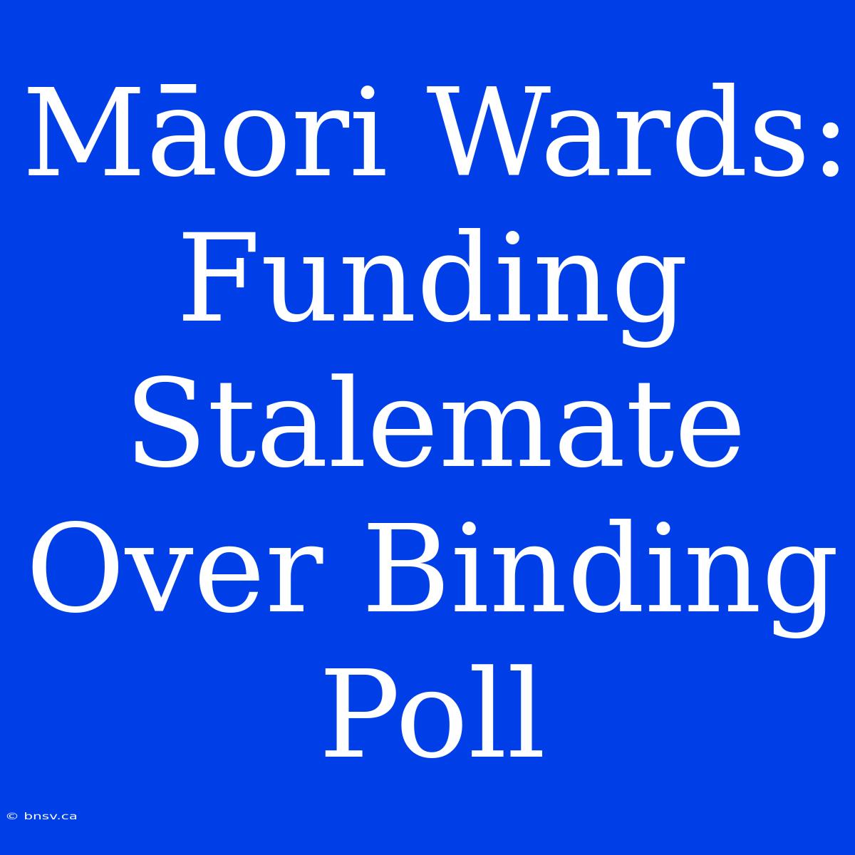 Māori Wards: Funding Stalemate Over Binding Poll