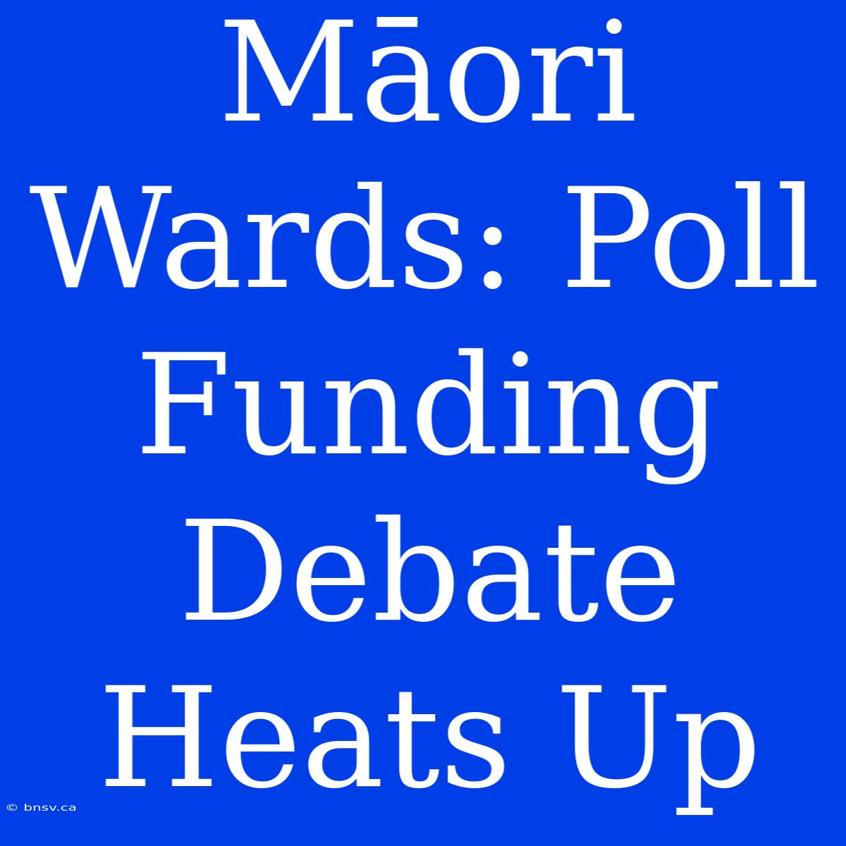 Māori Wards: Poll Funding Debate Heats Up