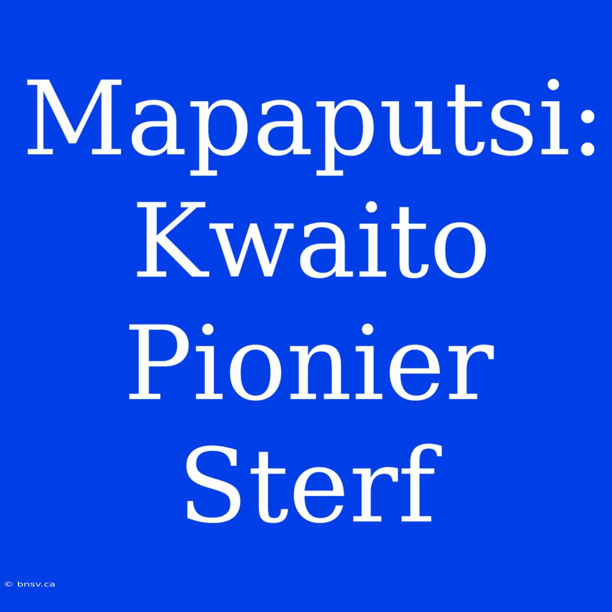 Mapaputsi: Kwaito Pionier Sterf