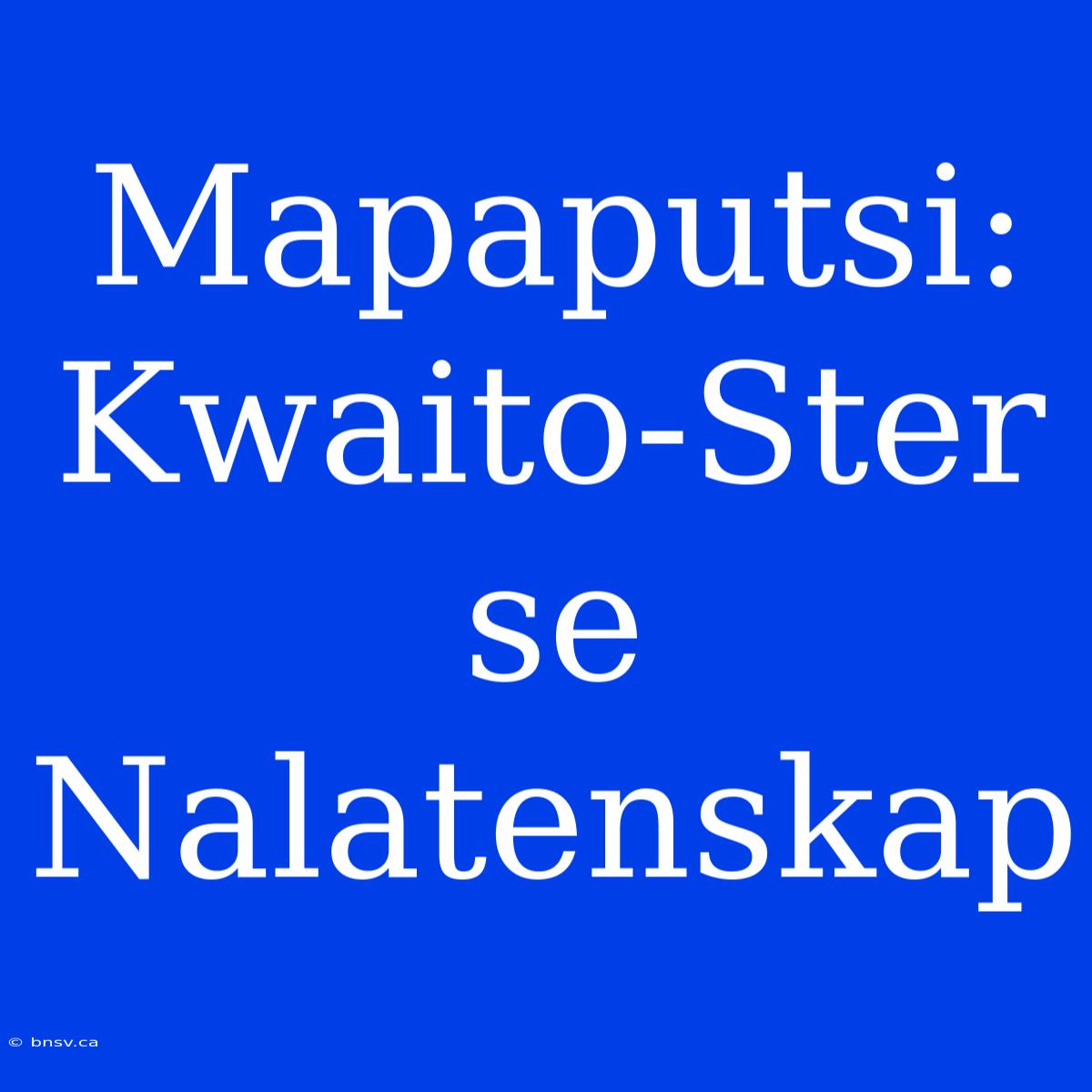 Mapaputsi: Kwaito-Ster Se Nalatenskap