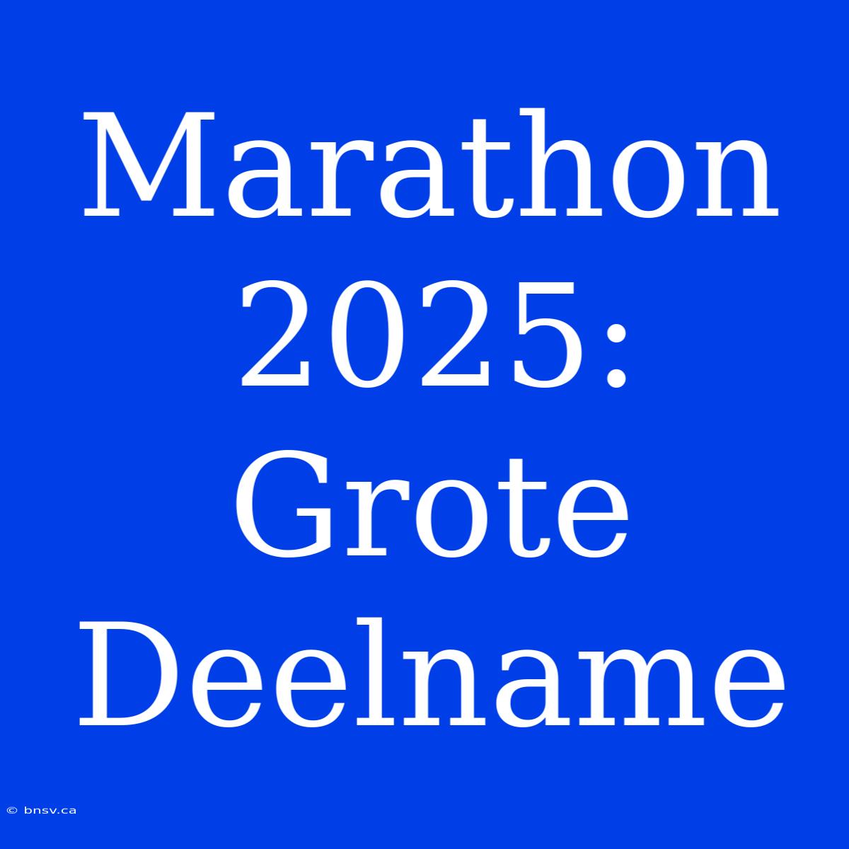 Marathon 2025: Grote Deelname