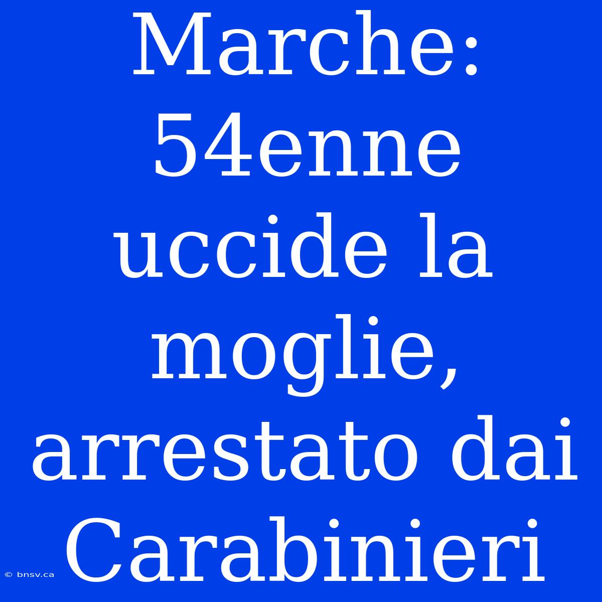 Marche: 54enne Uccide La Moglie, Arrestato Dai Carabinieri