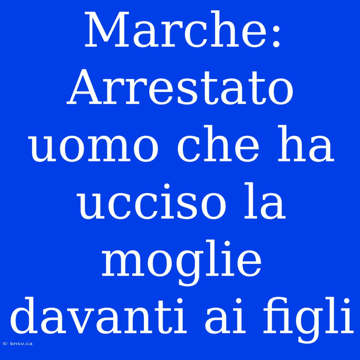 Marche: Arrestato Uomo Che Ha Ucciso La Moglie Davanti Ai Figli