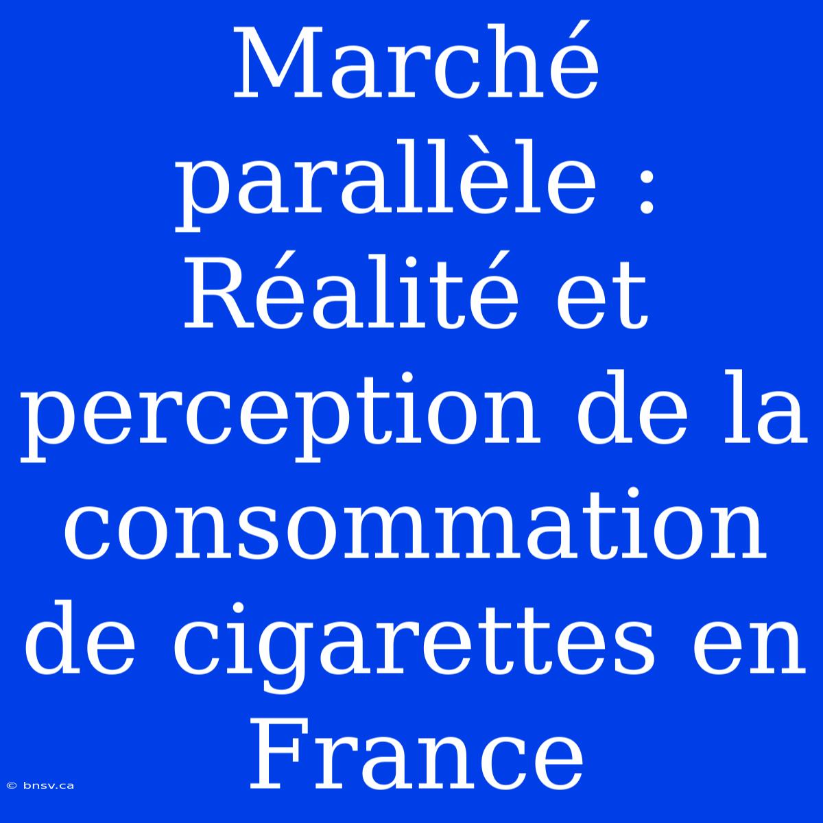 Marché Parallèle : Réalité Et Perception De La Consommation De Cigarettes En France