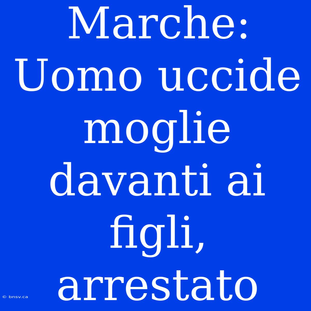 Marche: Uomo Uccide Moglie Davanti Ai Figli, Arrestato