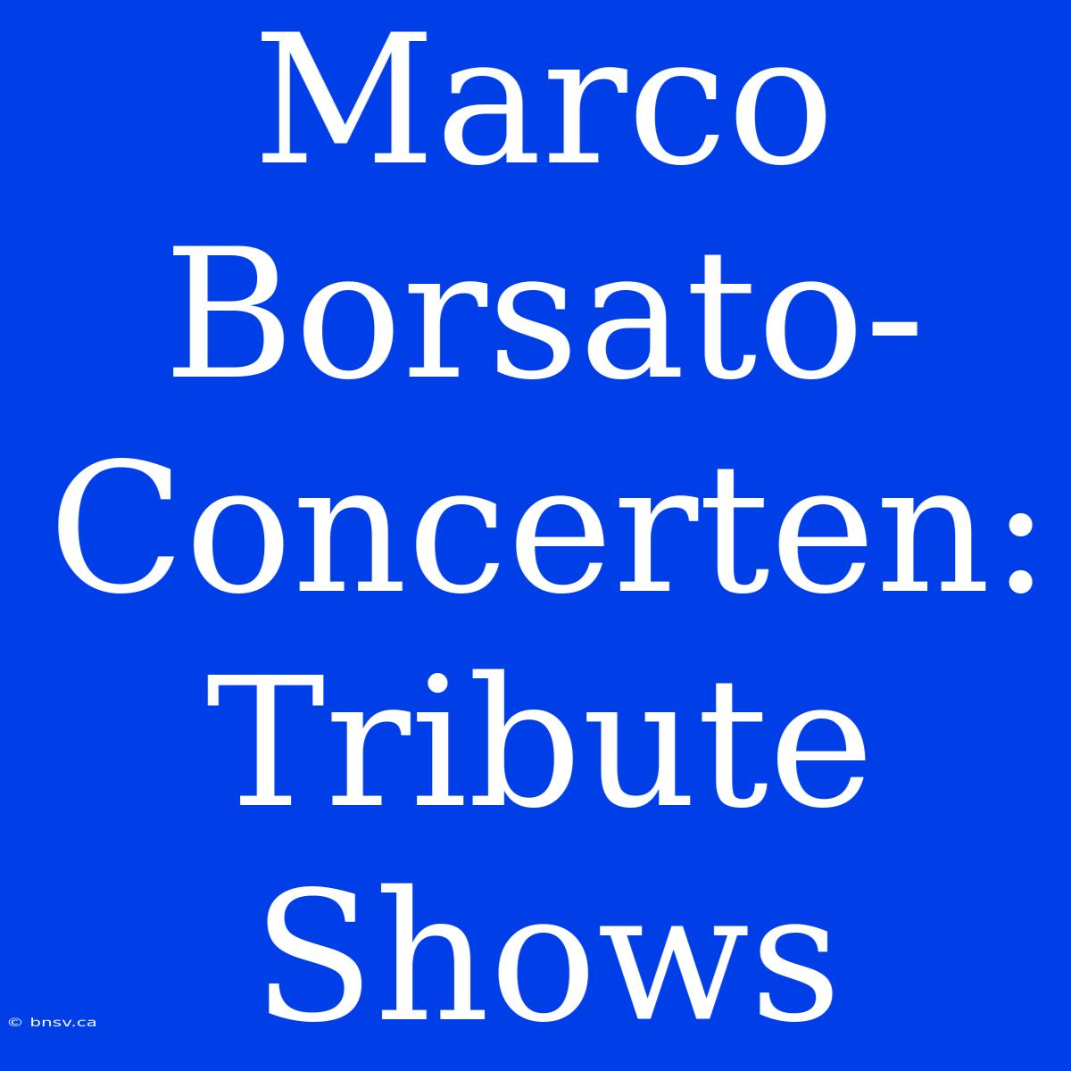 Marco Borsato-Concerten: Tribute Shows