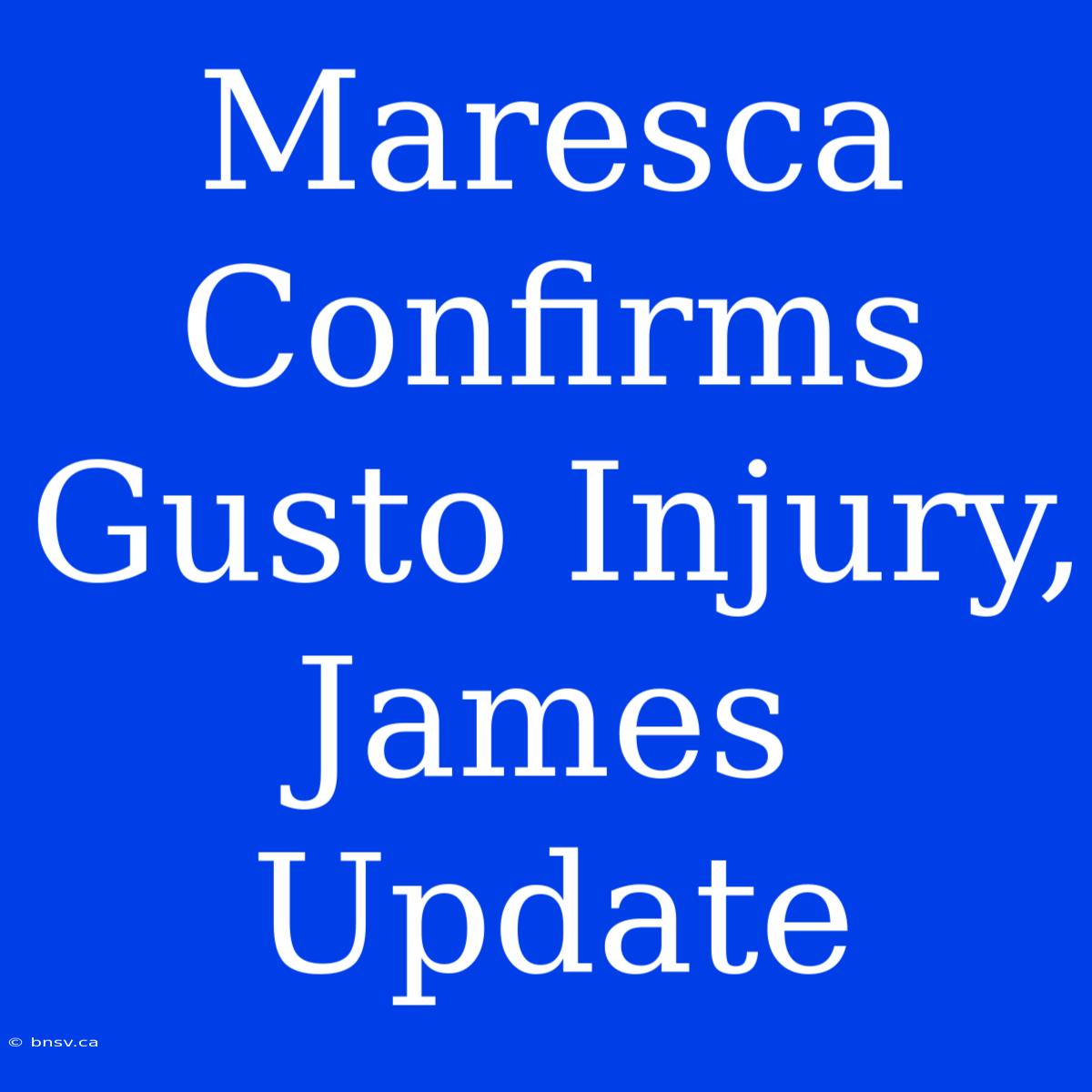 Maresca Confirms Gusto Injury, James Update