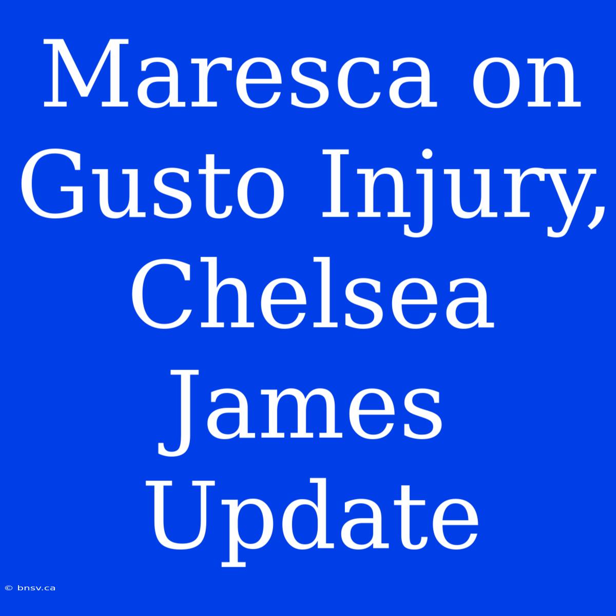 Maresca On Gusto Injury, Chelsea James Update