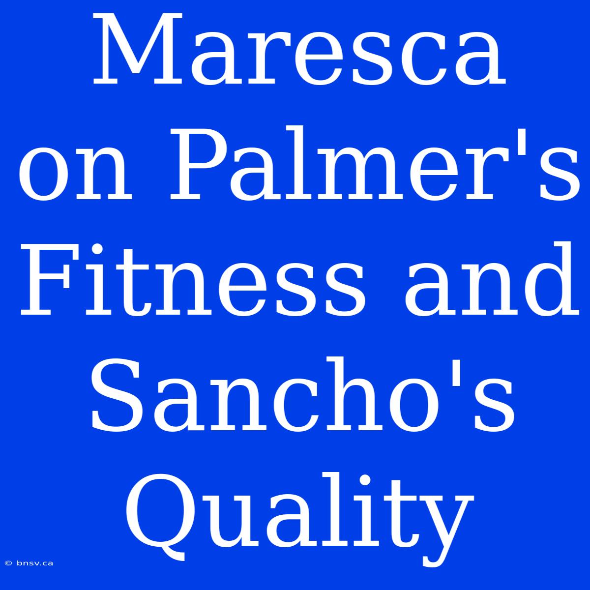 Maresca On Palmer's Fitness And Sancho's Quality