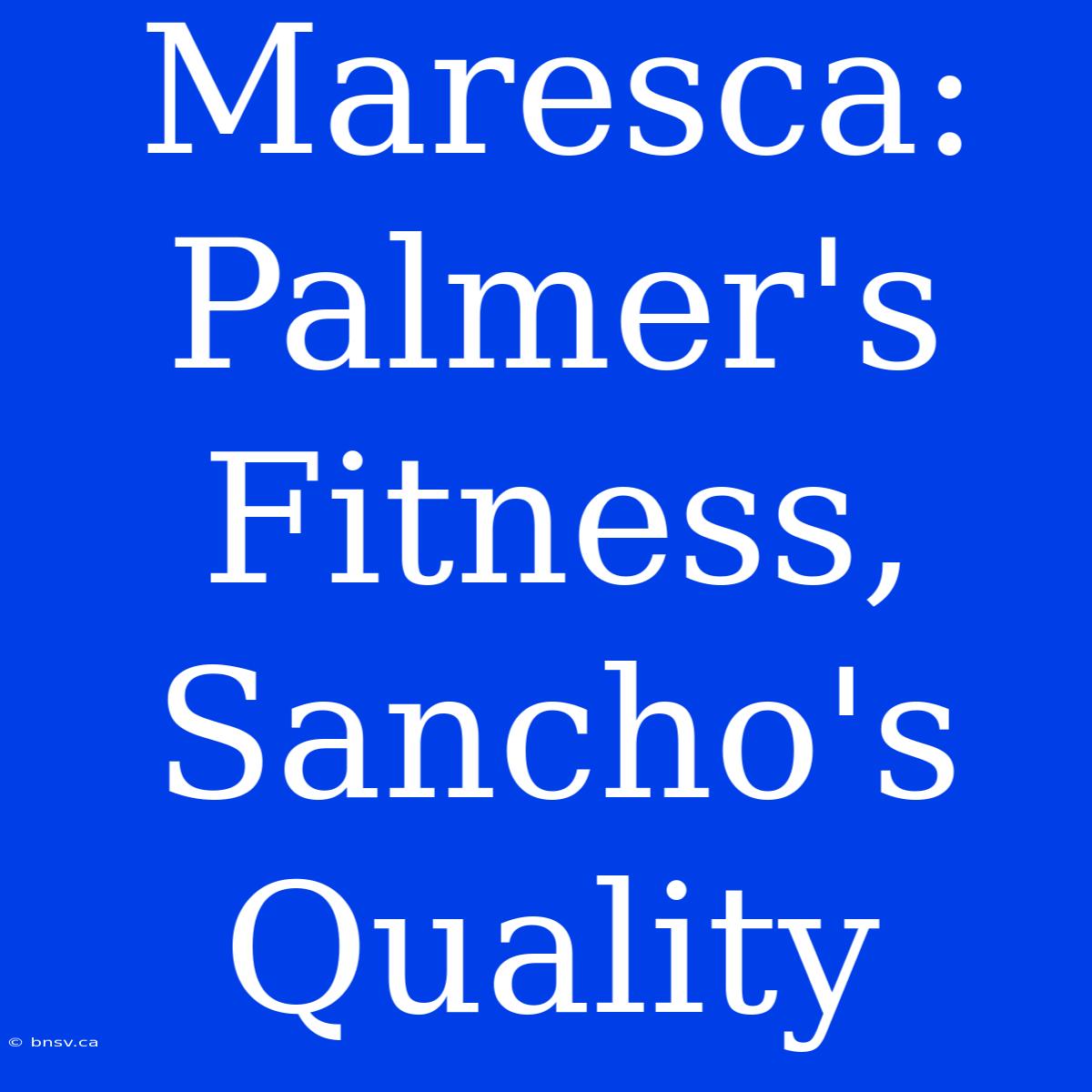 Maresca: Palmer's Fitness, Sancho's Quality