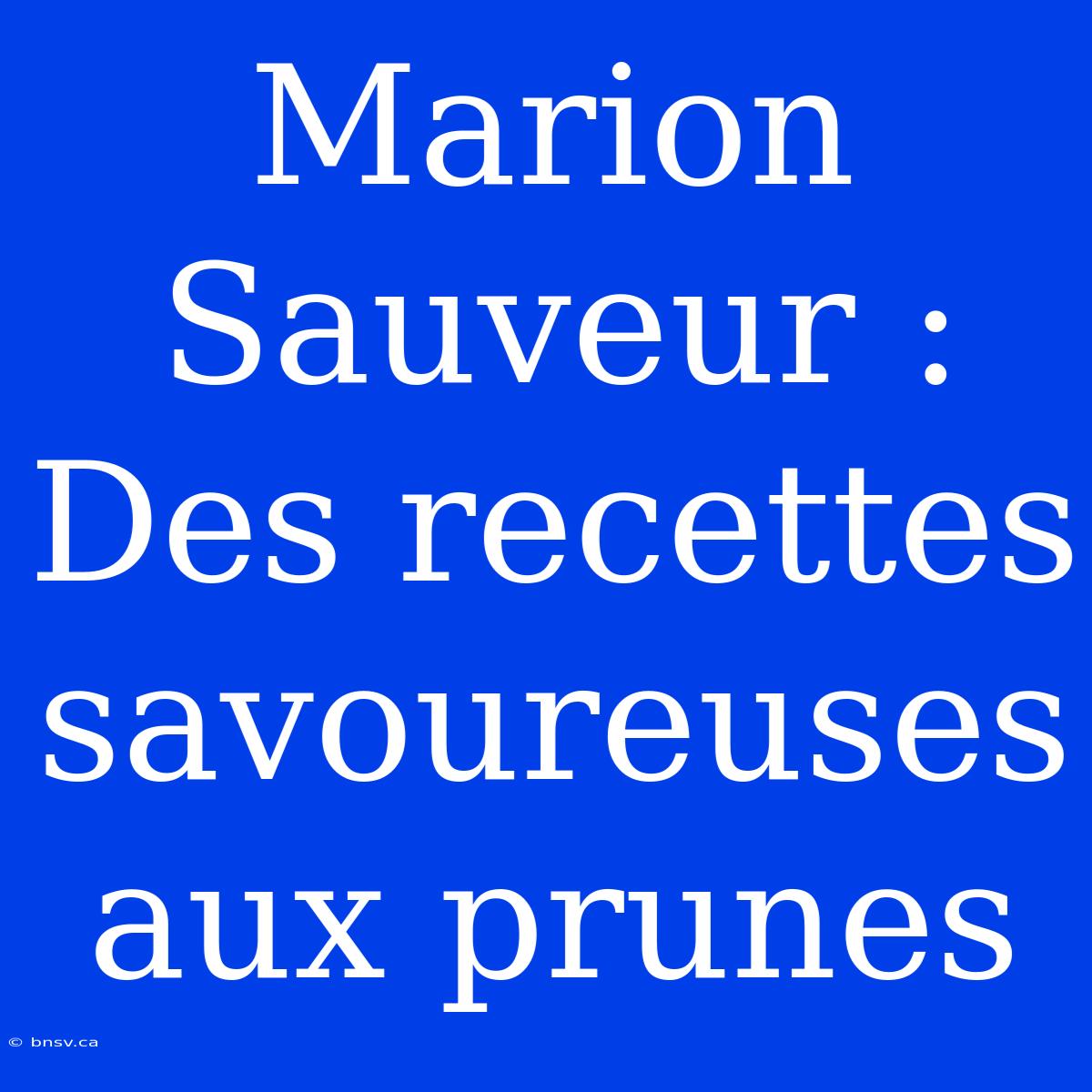 Marion Sauveur : Des Recettes Savoureuses Aux Prunes