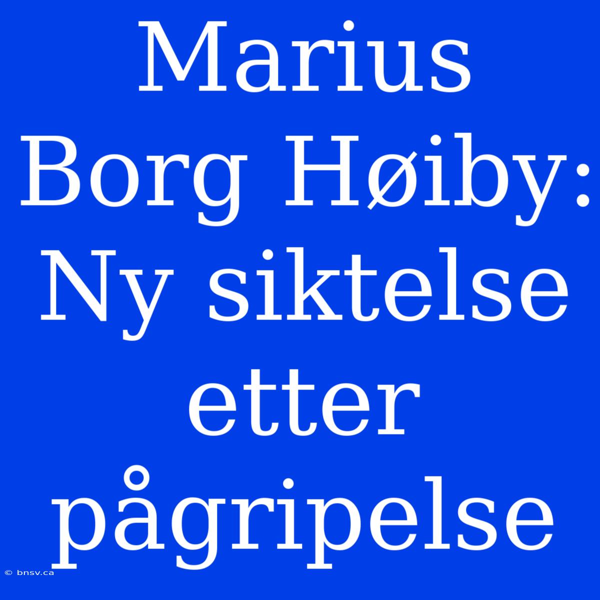 Marius Borg Høiby: Ny Siktelse Etter Pågripelse