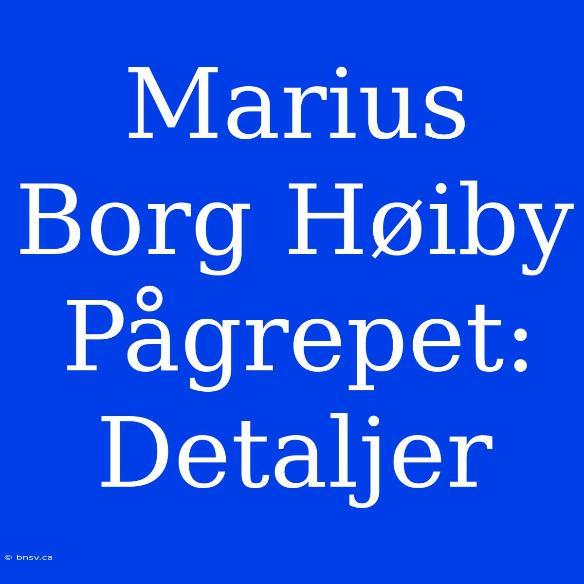 Marius Borg Høiby Pågrepet: Detaljer