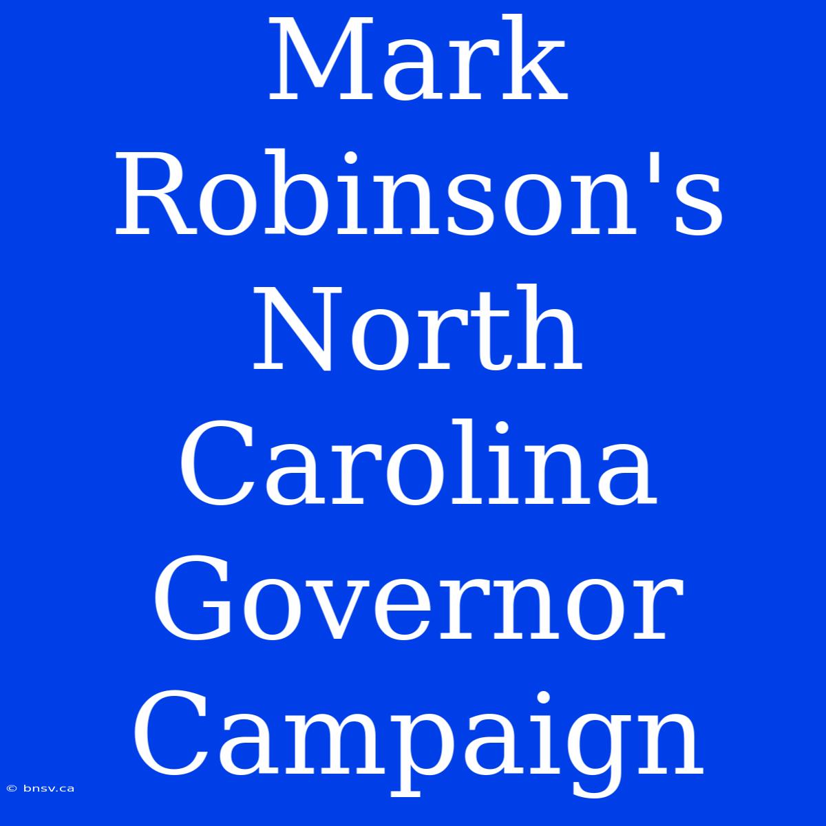 Mark Robinson's North Carolina Governor Campaign