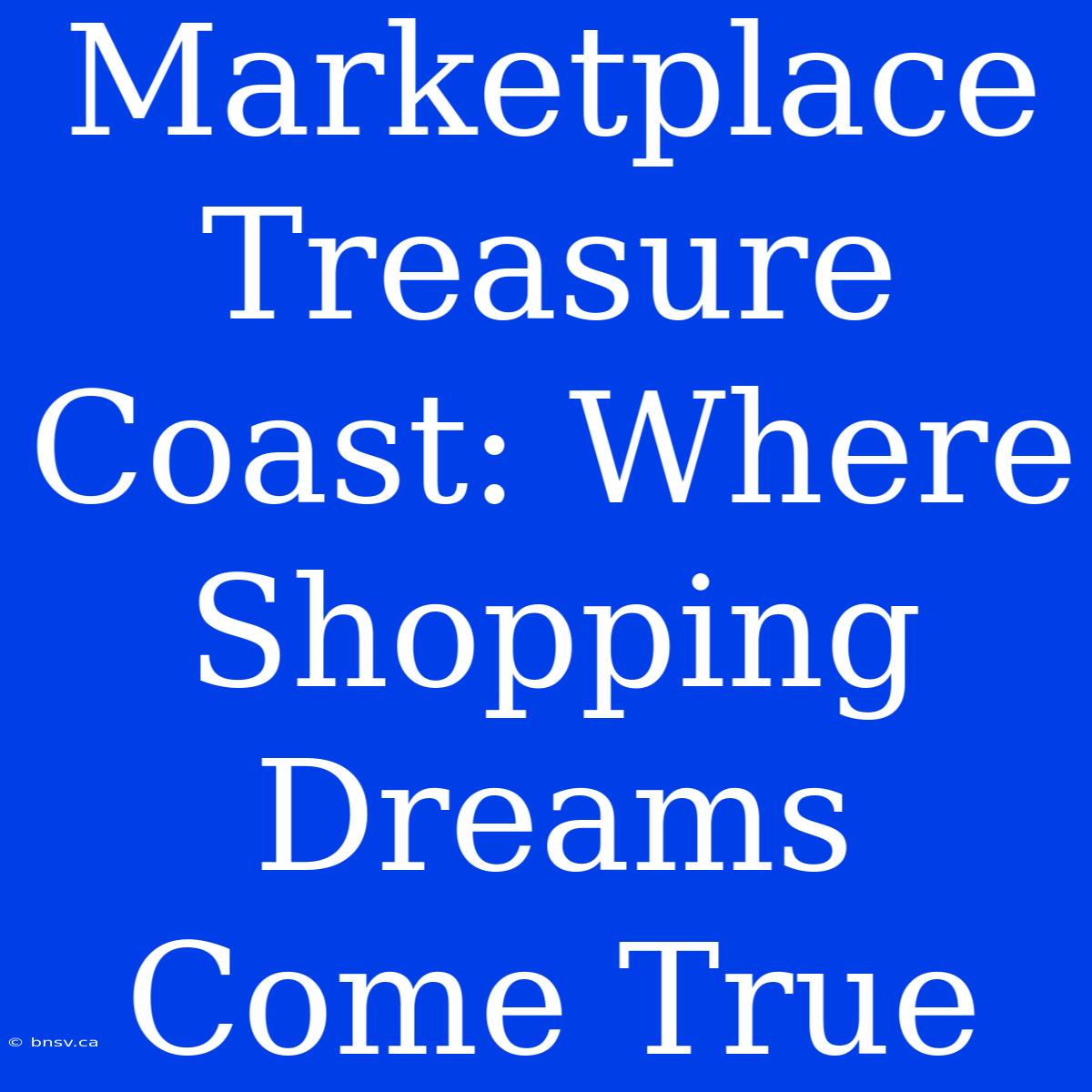 Marketplace Treasure Coast: Where Shopping Dreams Come True