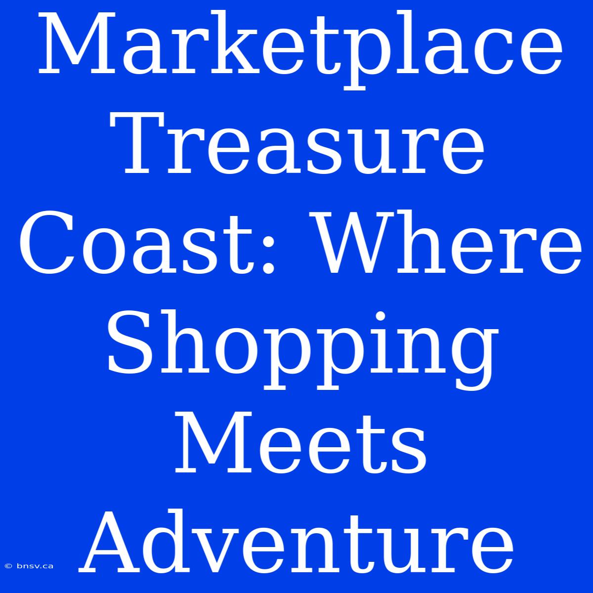 Marketplace Treasure Coast: Where Shopping Meets Adventure